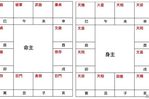 紫薇斗数嫁贵夫