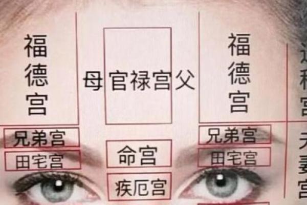 眼皮的面相解析 通过眼皮看面相算命