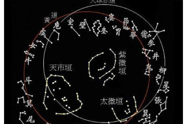 命带紫薇星是什么