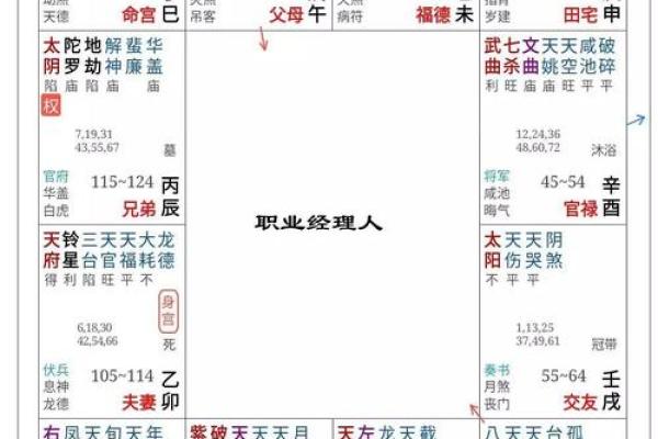 中州紫薇斗数实例