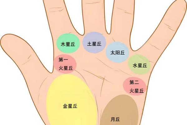 男人手上有9个斗的命运 手相算命