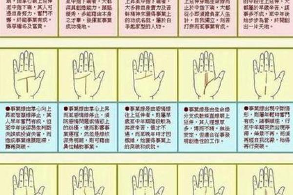 男人手上有9个斗的命运 手相算命