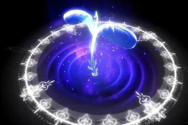 测自己魂力,免费测试武魂