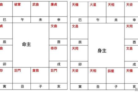 紫薇斗数嫁贵夫