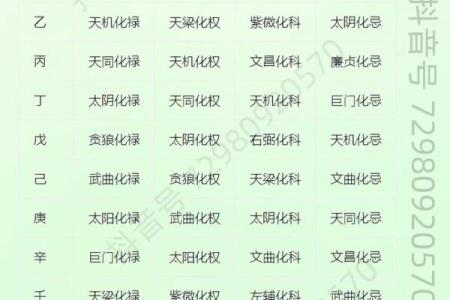 紫薇斗数流年太阳化忌