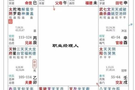 中州紫薇斗数实例