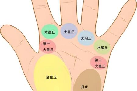 男人手上有9个斗的命运 手相算命