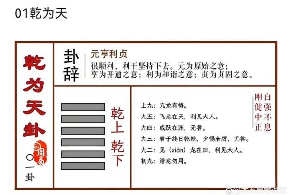乾卦八字命理解析