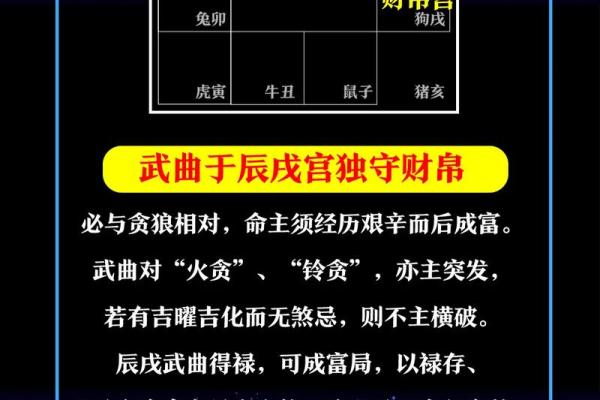 紫微斗数之各星曜所主行业：武曲星