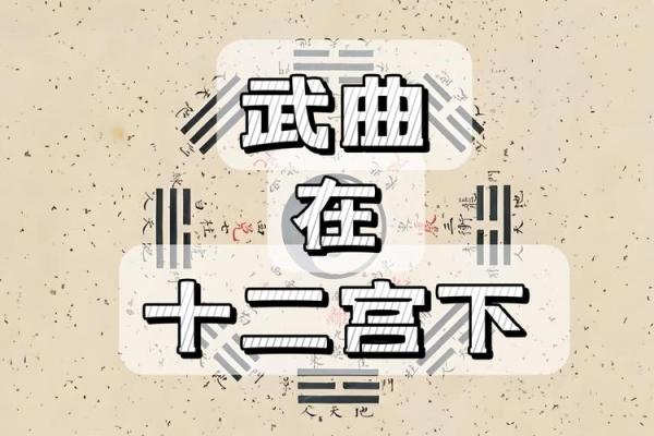 紫薇斗数大限武曲