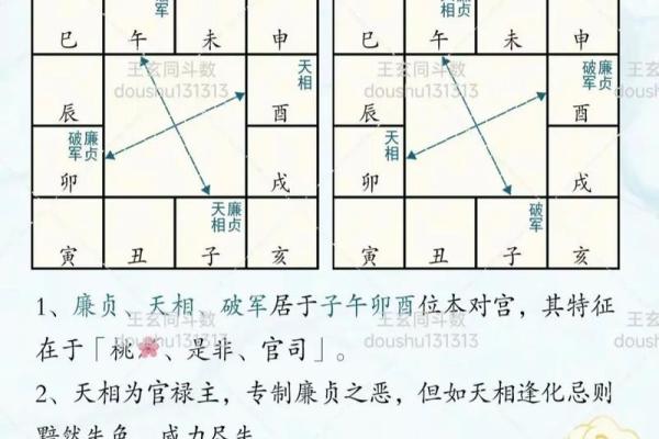 紫微斗数诸星落诸宫之：巨门星奴仆宫详解