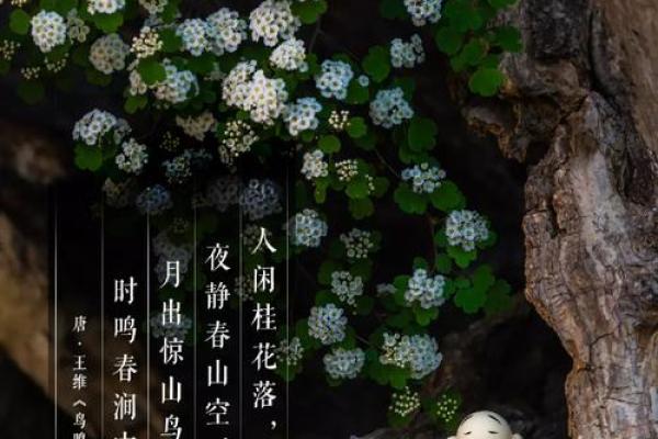 AI学会了算命？只用1张照片，算出你的生老病死