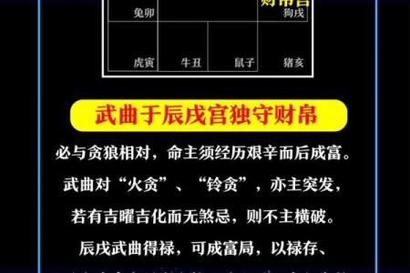 紫微斗数之各星曜所主行业：武曲星
