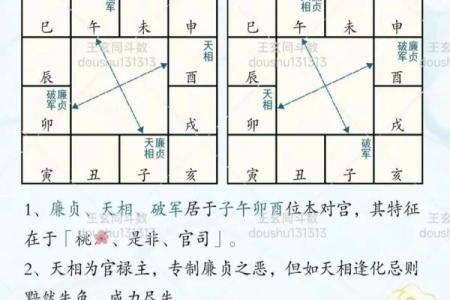 紫微斗数诸星落诸宫之：巨门星奴仆宫详解
