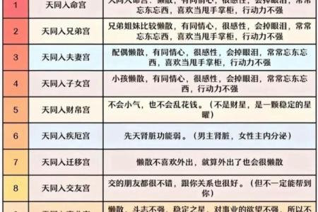 紫微斗数诸星落诸宫之：天相星财帛宫详解
