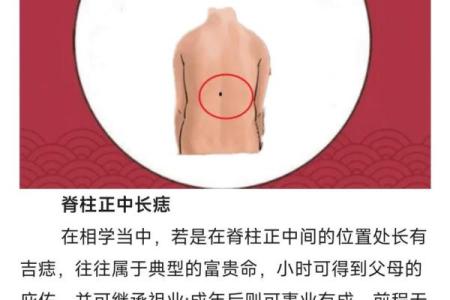 根据背部胎记算命