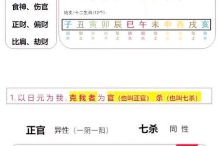 姓名数理和八字命盘