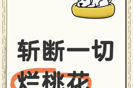 算命说烂桃花到岁