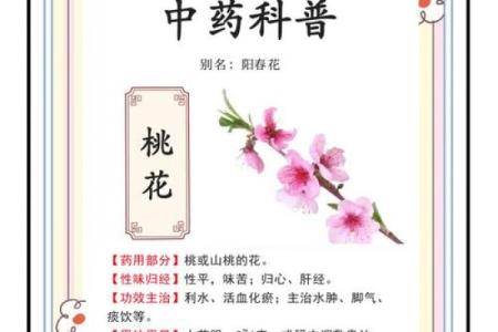 真正的桃花八字命理分析