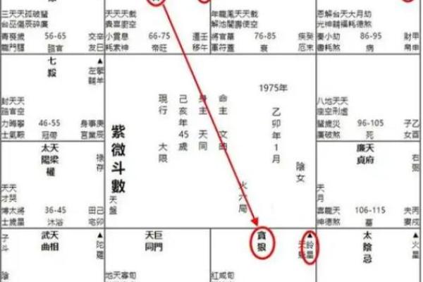 紫薇在官禄宫旺