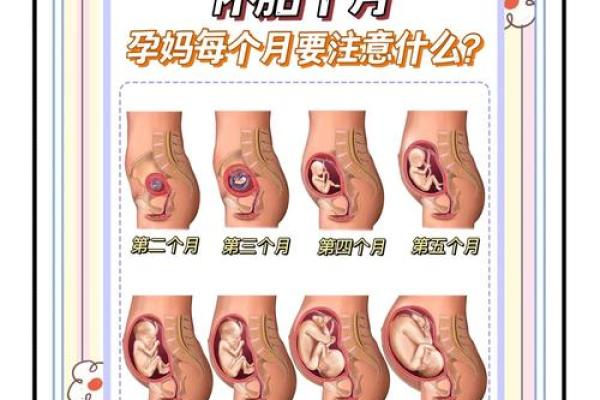 如何通过自己的胎记算命看自己的一生-