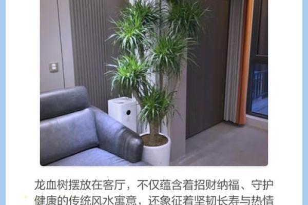 充满正能量的客厅风水，财运好