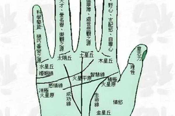 手相指纹算命图解