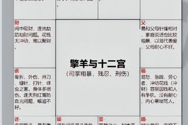 紫微斗数地劫星之十二宫释义