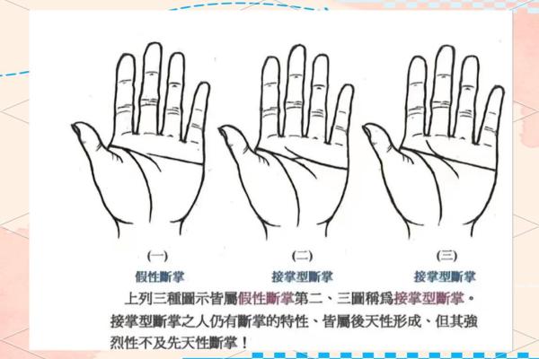 女人断掌手相算命图解