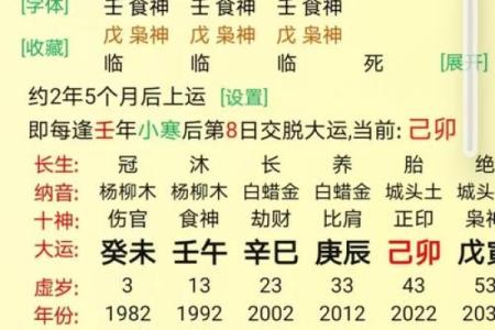 大运八字排盘分析
