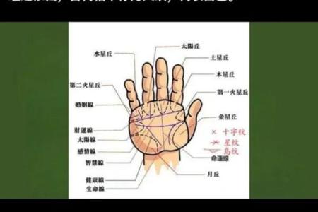 凯帝阿手相算命图解大全08