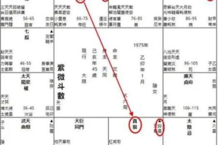 紫薇在官禄宫旺