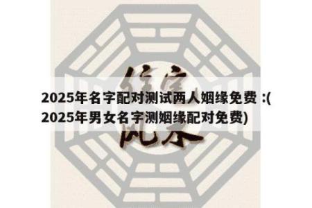 姓名配对测试免费测试游戏 姓名配对测试免费测试入口？