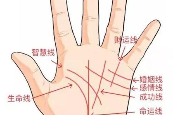 手相算命婚姻线详解