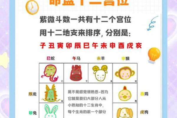 紫薇斗数几号盘