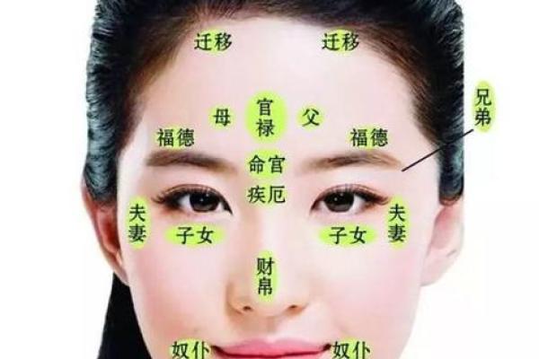 面相算命鼻子