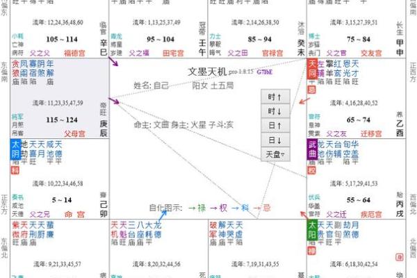大限紫薇斗数吧