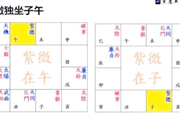 紫薇斗数与看盘