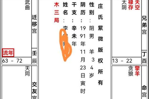 紫薇斗数实战实例