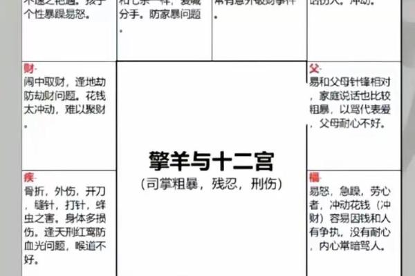 紫薇斗数实战实例