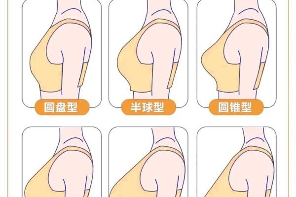 八字胸型