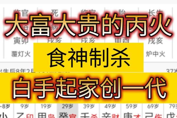 食神制杀八字