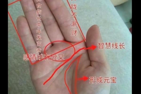 在线扫一扫测手相算命,扫一扫测手相算命免费