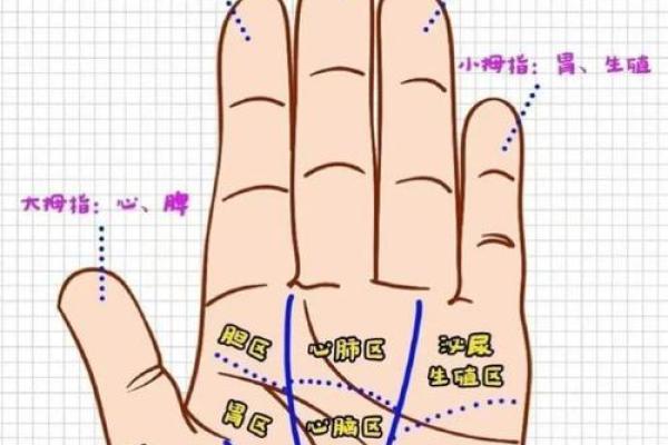 在线扫一扫测手相算命,扫一扫测手相算命免费