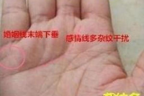 算命时为什么会离婚呢