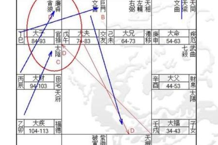 李连杰紫微斗数 李连杰 紫微？