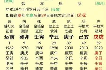 八字格局伤官格是什么意思