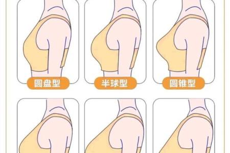 八字胸型