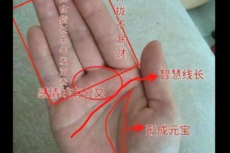 在线扫一扫测手相算命,扫一扫测手相算命免费