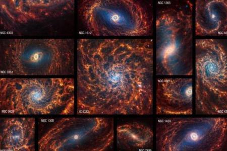 紫薇星系和天府星系的区别在哪里呢英语作文